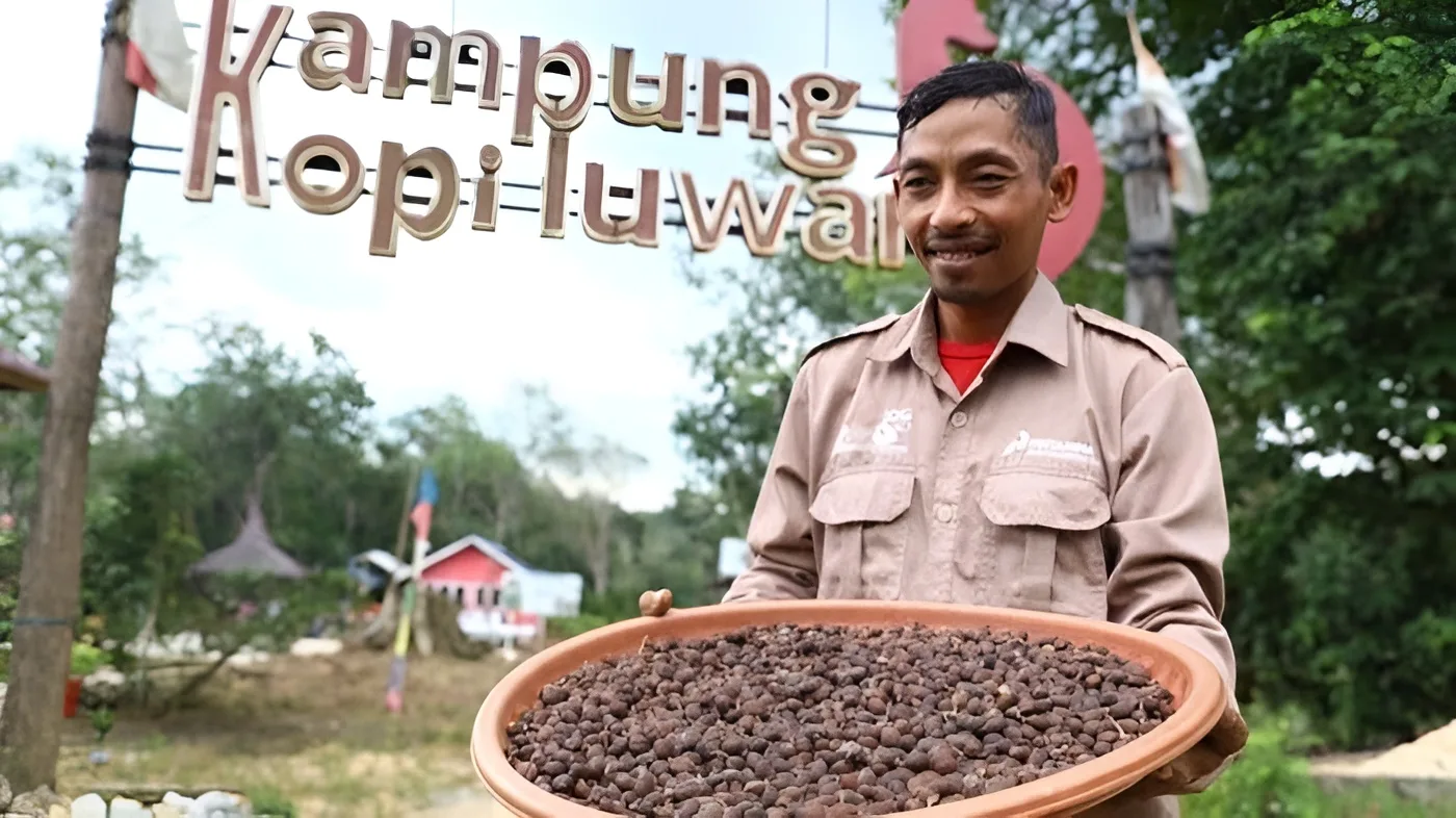 Foto: Wisata Kampung Kopi Luwak, adalah salah satu lokasi wisata alam yang menarik. Terletak di Jalan Poros Samarinda-Bontang Kilometer 60, Desa Prangat Baru, Kecamatan Marangkayu, Kabupaten Kutai Kartanegara.